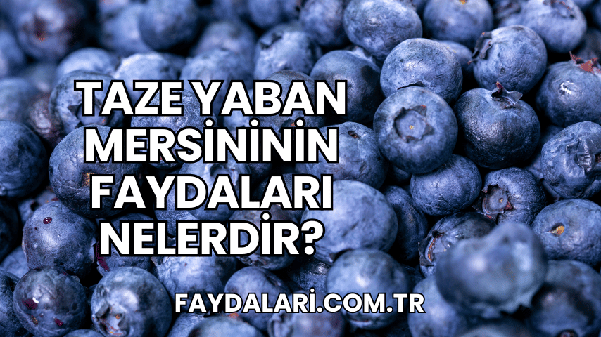 Taze Yaban Mersininin Faydaları Nelerdir?