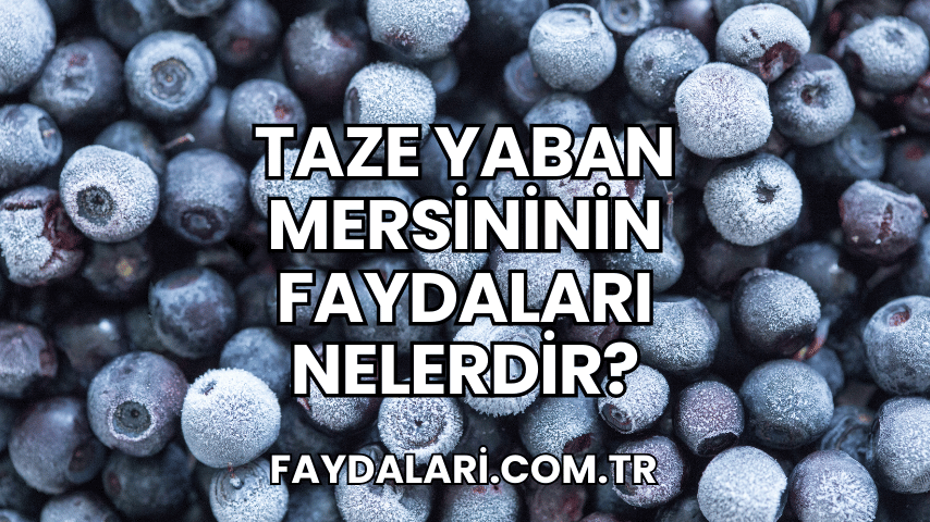 Taze Yaban Mersininin Faydaları Nelerdir?