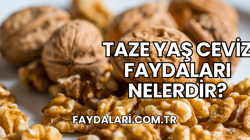 Taze Yaş Ceviz Faydaları Nelerdir?