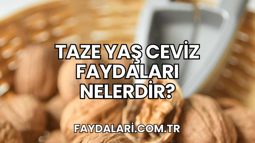 Taze Yaş Ceviz Faydaları Nelerdir?