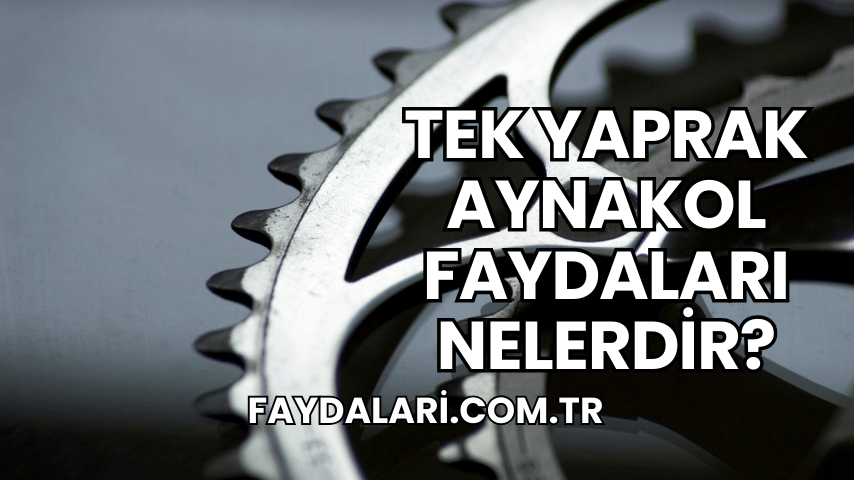 Tek Yaprak Aynakol Faydaları Nelerdir?