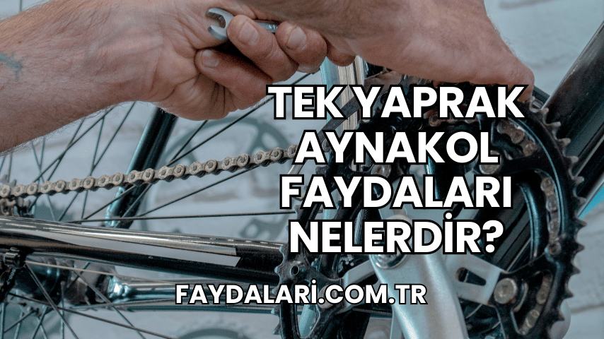 Tek Yaprak Aynakol Faydaları Nelerdir?