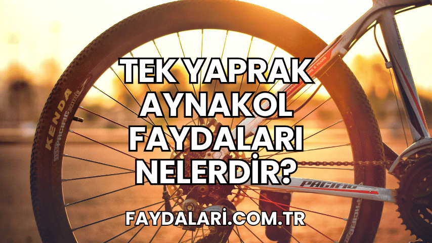 Tek Yaprak Aynakol Faydaları Nelerdir?