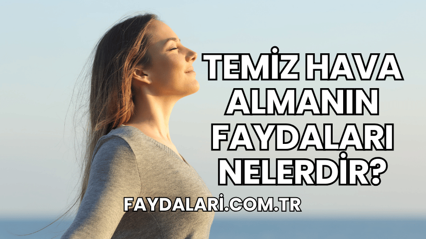 Temiz Hava Almanın Faydaları Nelerdir?