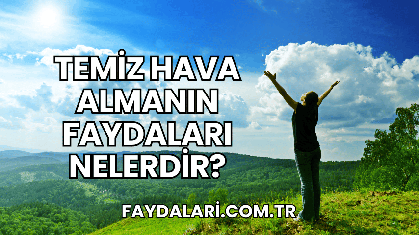 Temiz Hava Almanın Faydaları Nelerdir?