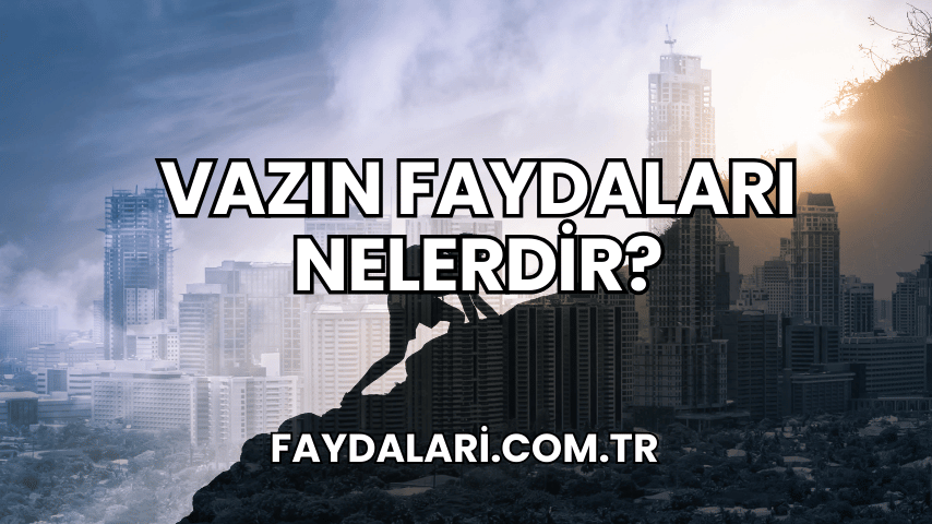 Vazın Faydaları Nelerdir?