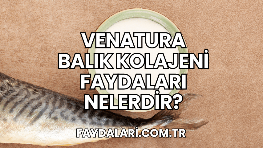 Venatura Balık Kolajeni Faydaları Nelerdir?