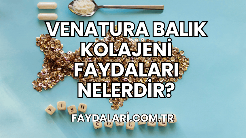 Venatura Balık Kolajeni Faydaları Nelerdir?