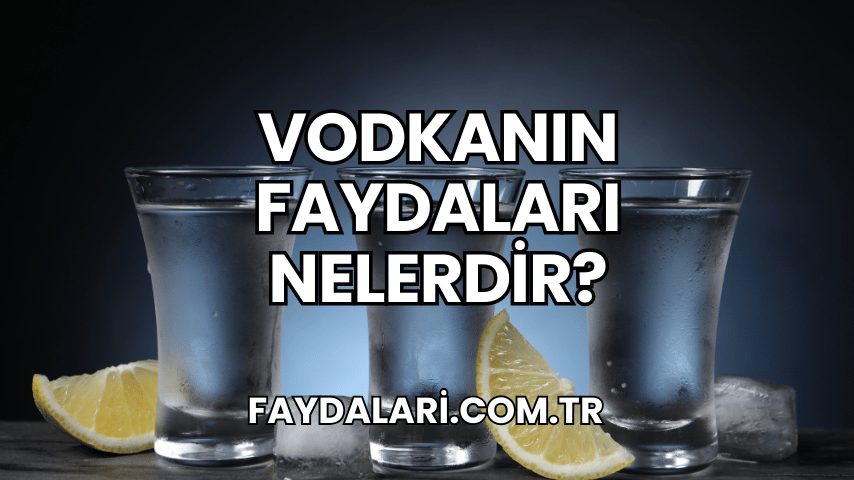 Vodkanın Faydaları Nelerdir?