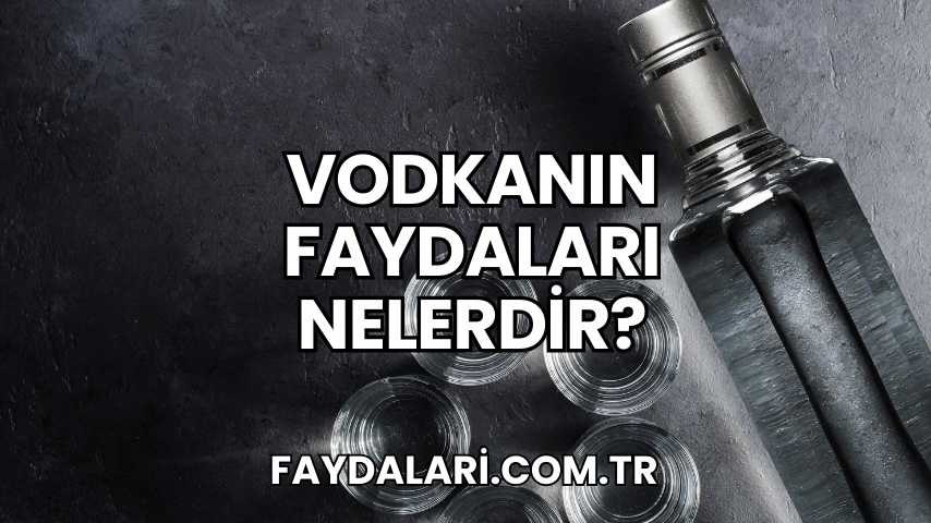 Vodkanın Faydaları Nelerdir?