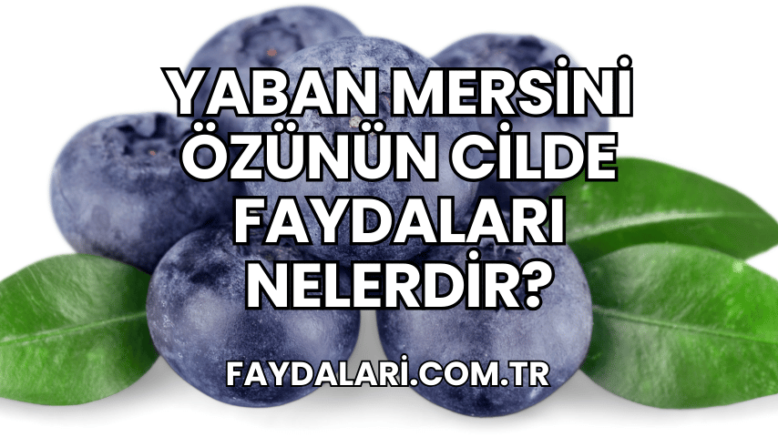 Yaban Mersini Özünün Cilde Faydaları Nelerdir?