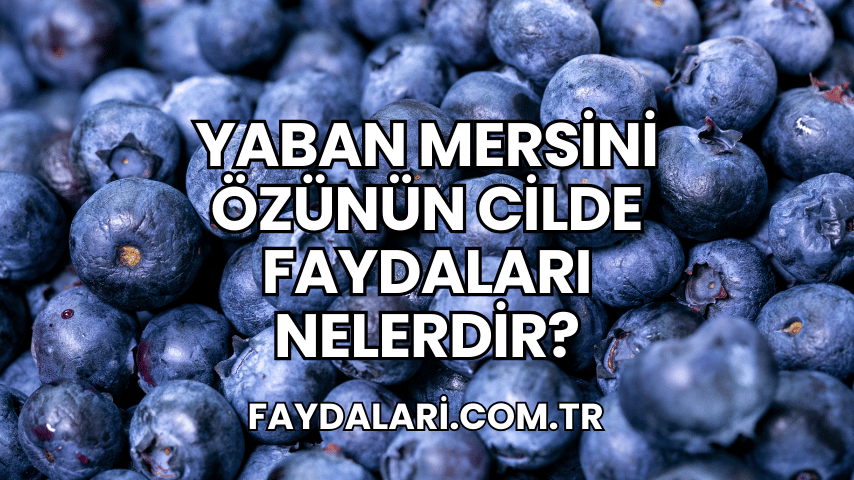 Yaban Mersini Özünün Cilde Faydaları Nelerdir?