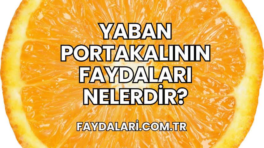 Yaban Portakalının Faydaları Nelerdir?