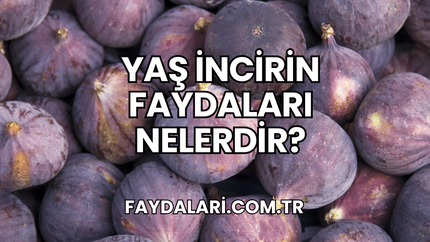 Yaş İncirin Faydaları Nelerdir?