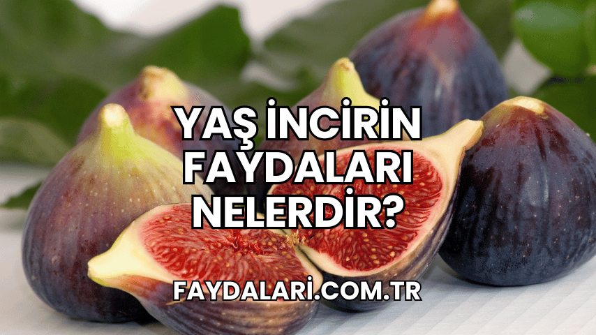 Yaş İncirin Faydaları Nelerdir?