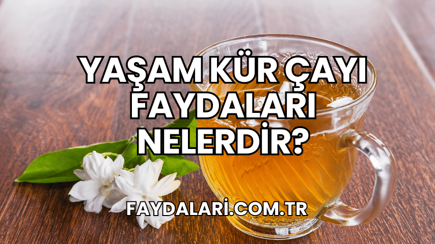 Yaşam Kür Çayı Faydaları Nelerdir?