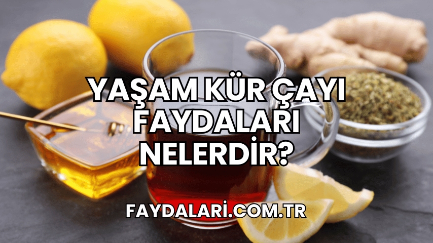 Yaşam Kür Çayı Faydaları Nelerdir?