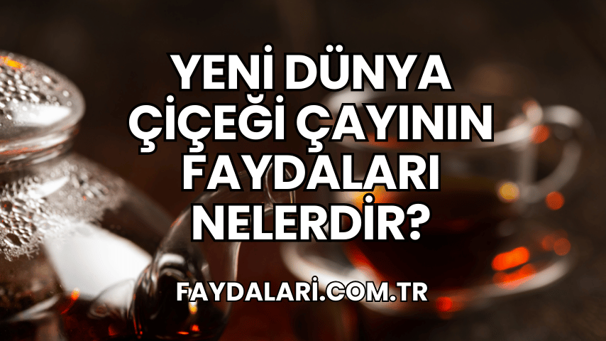 Yeni Dünya Çiçeği Çayının Faydaları Nelerdir?