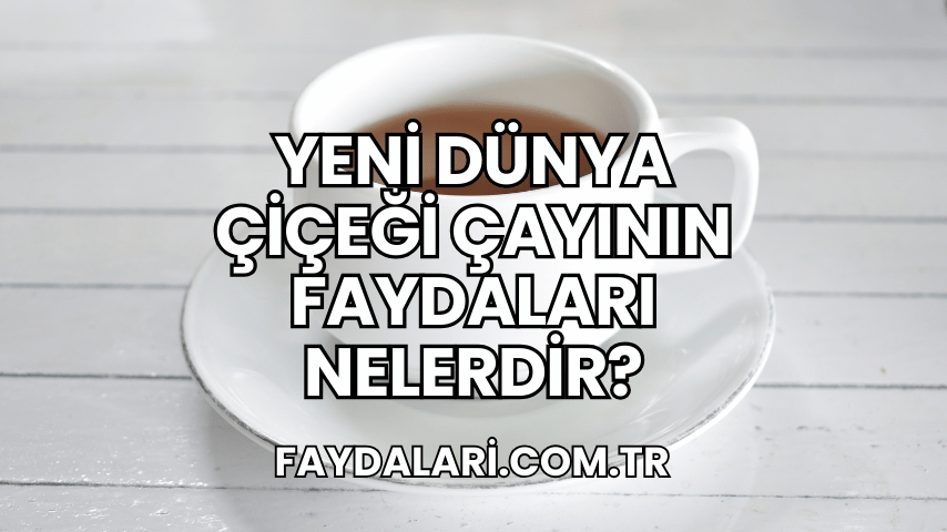 Yeni Dünya Çiçeği Çayının Faydaları Nelerdir?