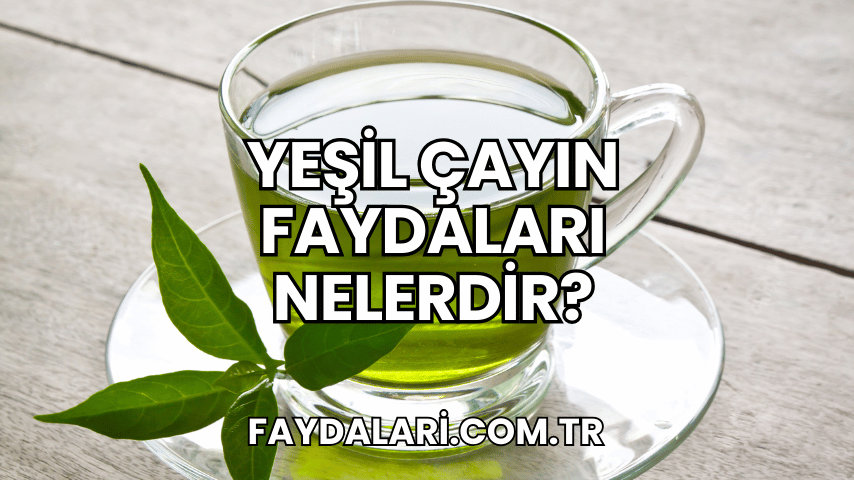 Yeşil Çayın Faydaları Nelerdir?