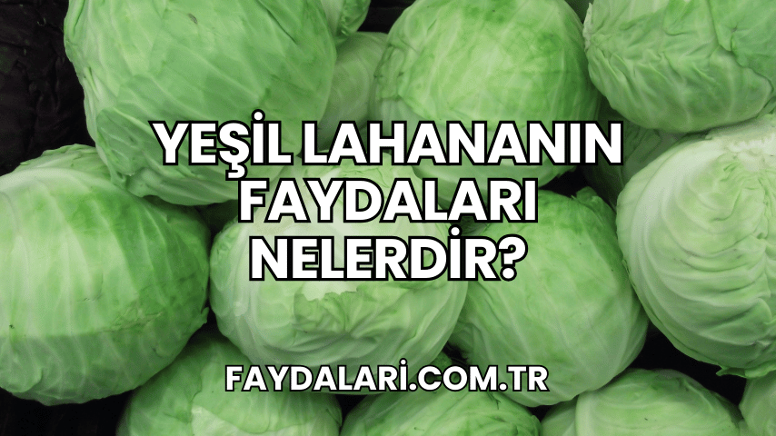 Yeşil Lahananın Faydaları Nelerdir?