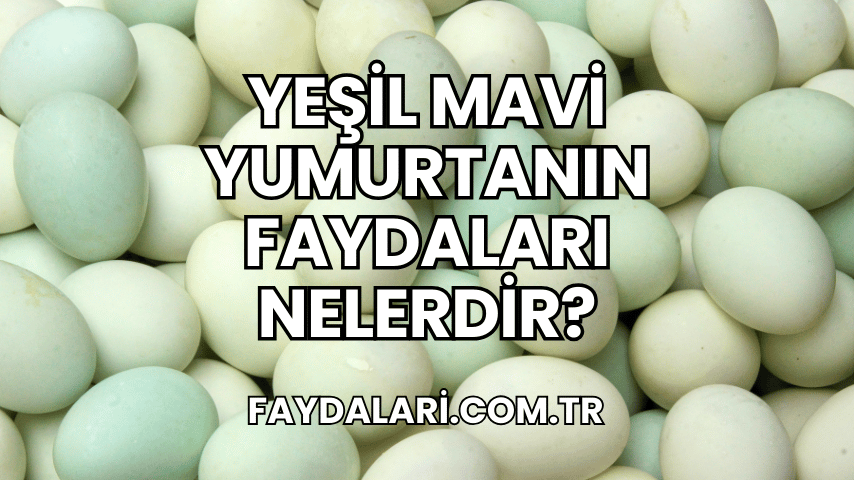 Yeşil Mavi Yumurtanın Faydaları Nelerdir?