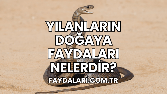 Yılanların Doğaya Faydaları Nelerdir?