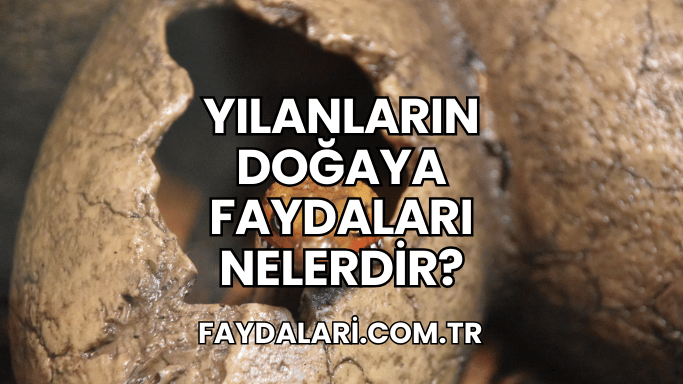 Yılanların Doğaya Faydaları Nelerdir?