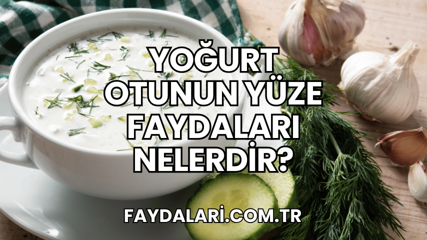 Yoğurt Otunun Yüze Faydaları Nelerdir?