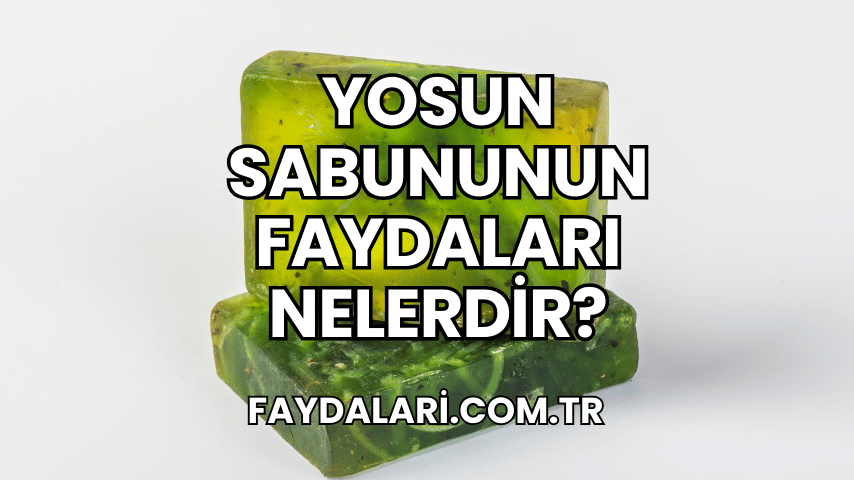 Yosun Sabununun Faydaları Nelerdir?