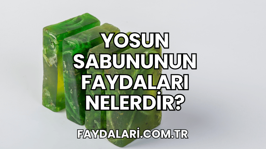 Yosun Sabununun Faydaları Nelerdir?