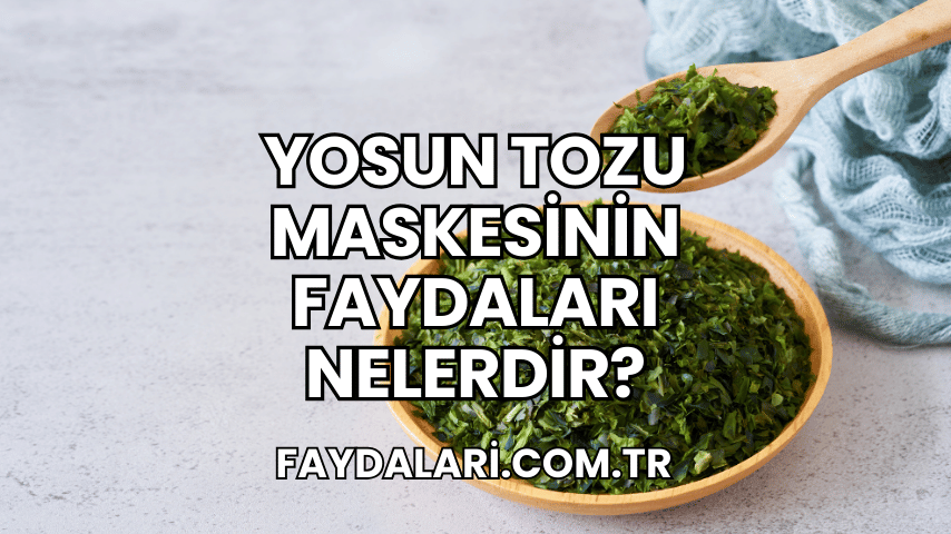 Yosun Tozu Maskesinin Faydaları Nelerdir?