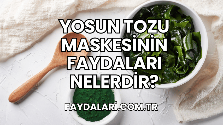 Yosun Tozu Maskesinin Faydaları Nelerdir?