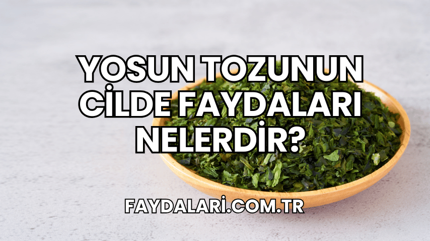 Yosun Tozunun Cilde Faydaları Nelerdir?