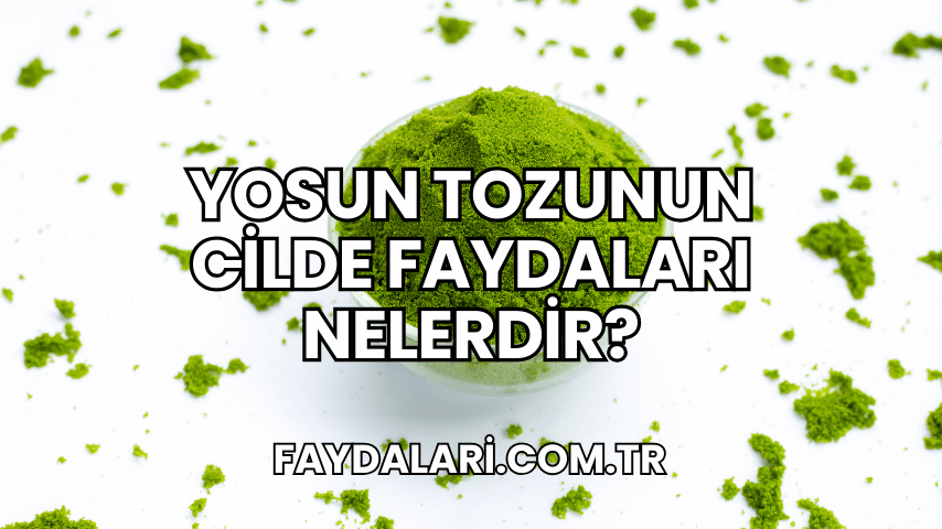 Yosun Tozunun Cilde Faydaları Nelerdir?