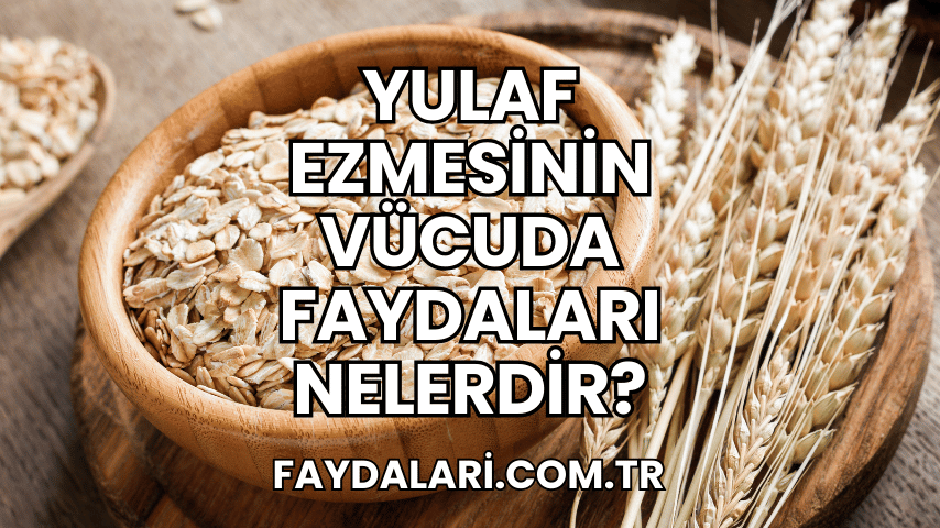 Yulaf Ezmesinin Vücuda Faydaları Nelerdir?