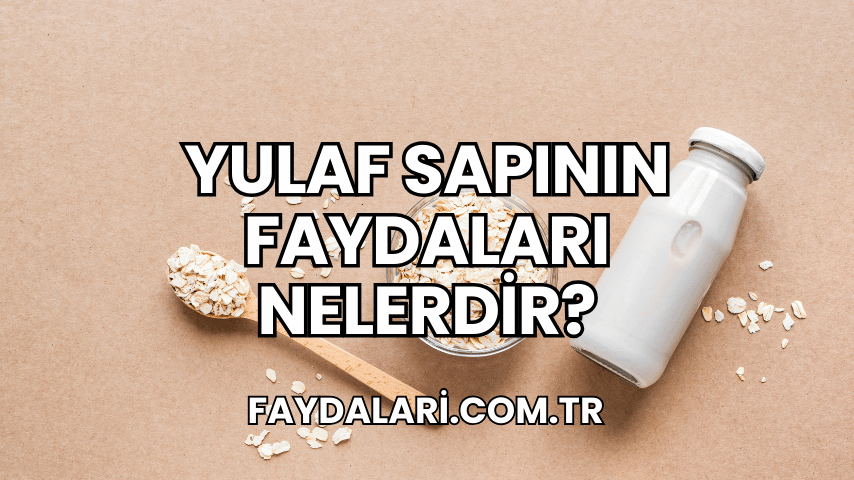 Yulaf Sapının Faydaları Nelerdir?