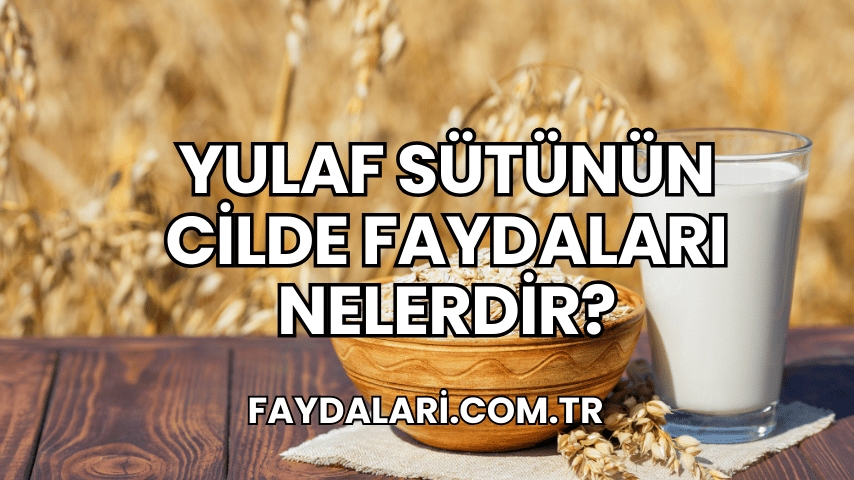 Yulaf Sütünün Cilde Faydaları Nelerdir?