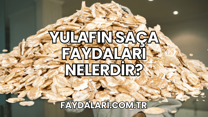 Yulafın Saça Faydaları Nelerdir?