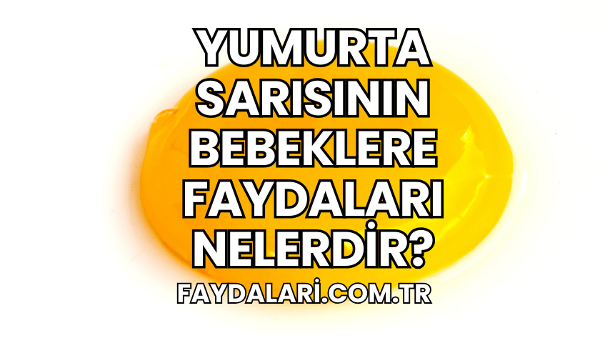 Yumurta Sarısının Bebeklere Faydaları Nelerdir?