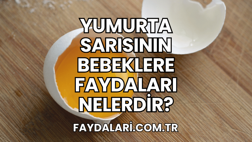 Yumurta Sarısının Bebeklere Faydaları Nelerdir?