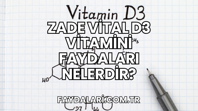 Zade Vital D3 Vitamini Faydaları Nelerdir?