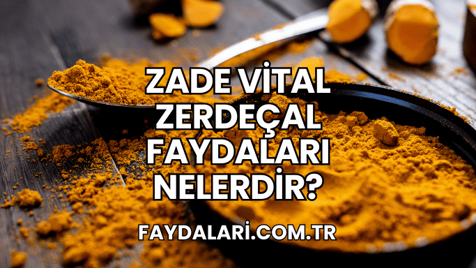 Zade Vital Zerdeçal Faydaları Nelerdir?