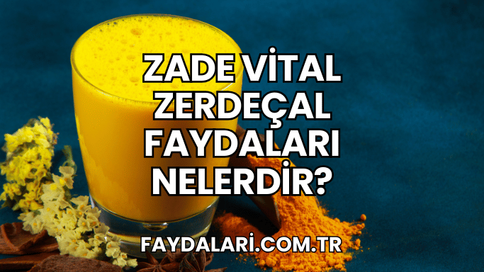 Zade Vital Zerdeçal Faydaları Nelerdir?