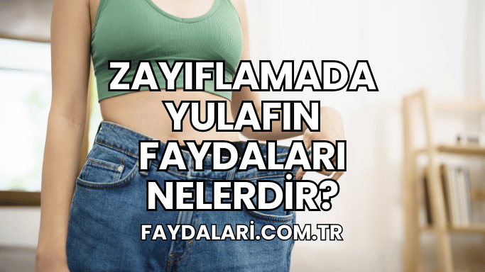 Zayıflamada Yulafın Faydaları Nelerdir?