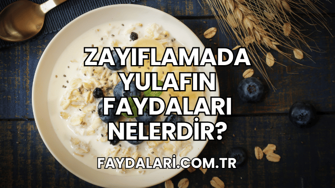 Zayıflamada Yulafın Faydaları Nelerdir?