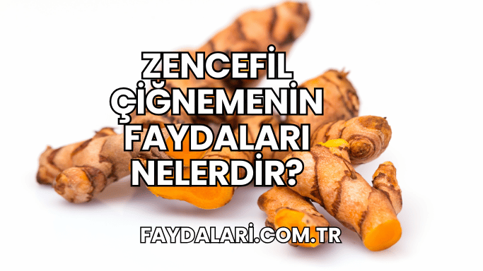 Zencefil Çiğnemenin Faydaları Nelerdir?