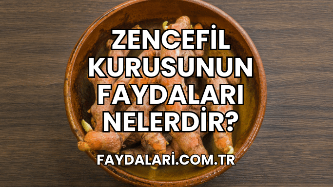 Zencefil Kurusunun Faydaları Nelerdir?