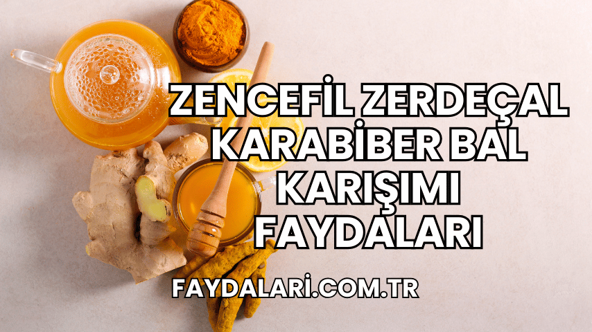 Zencefil Zerdeçal Karabiber Bal Karışımı Faydaları