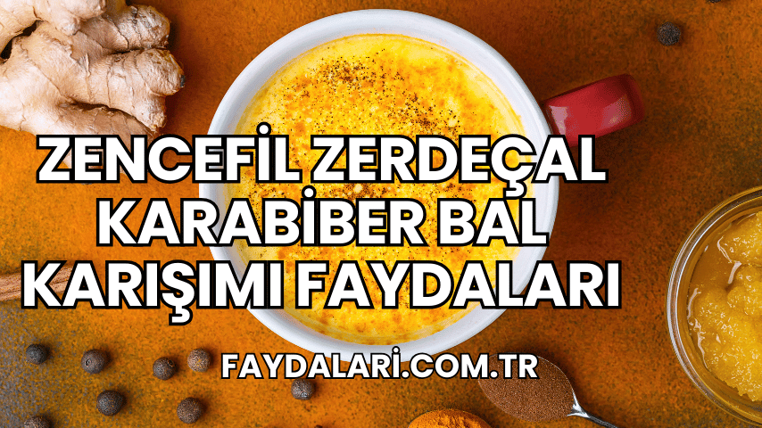 Zencefil Zerdeçal Karabiber Bal Karışımı Faydaları